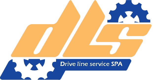 Logo DRIVE LINE SERVICE SPA